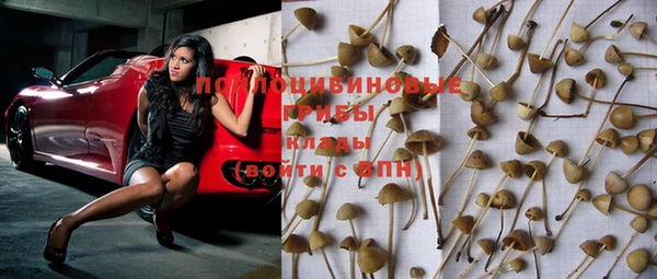ГАЛЛЮЦИНОГЕННЫЕ ГРИБЫ Аркадак