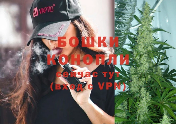 ГАЛЛЮЦИНОГЕННЫЕ ГРИБЫ Аркадак